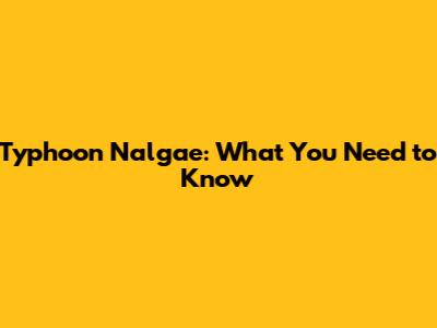 Typhoon Nalgae: What You Need to Know