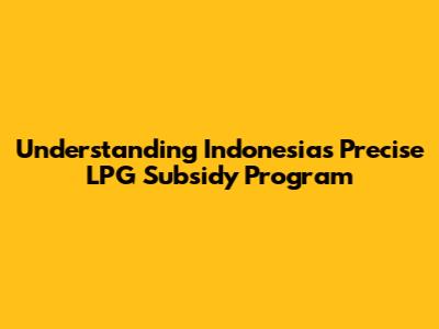 Understanding Indonesia's Precise LPG Subsidy Program
