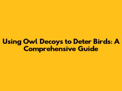 Using Owl Decoys to Deter Birds: A Comprehensive Guide